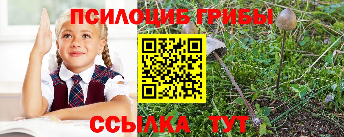 Тельмана  Галлюциногенные грибы прущие грибы  Вход с VPN 